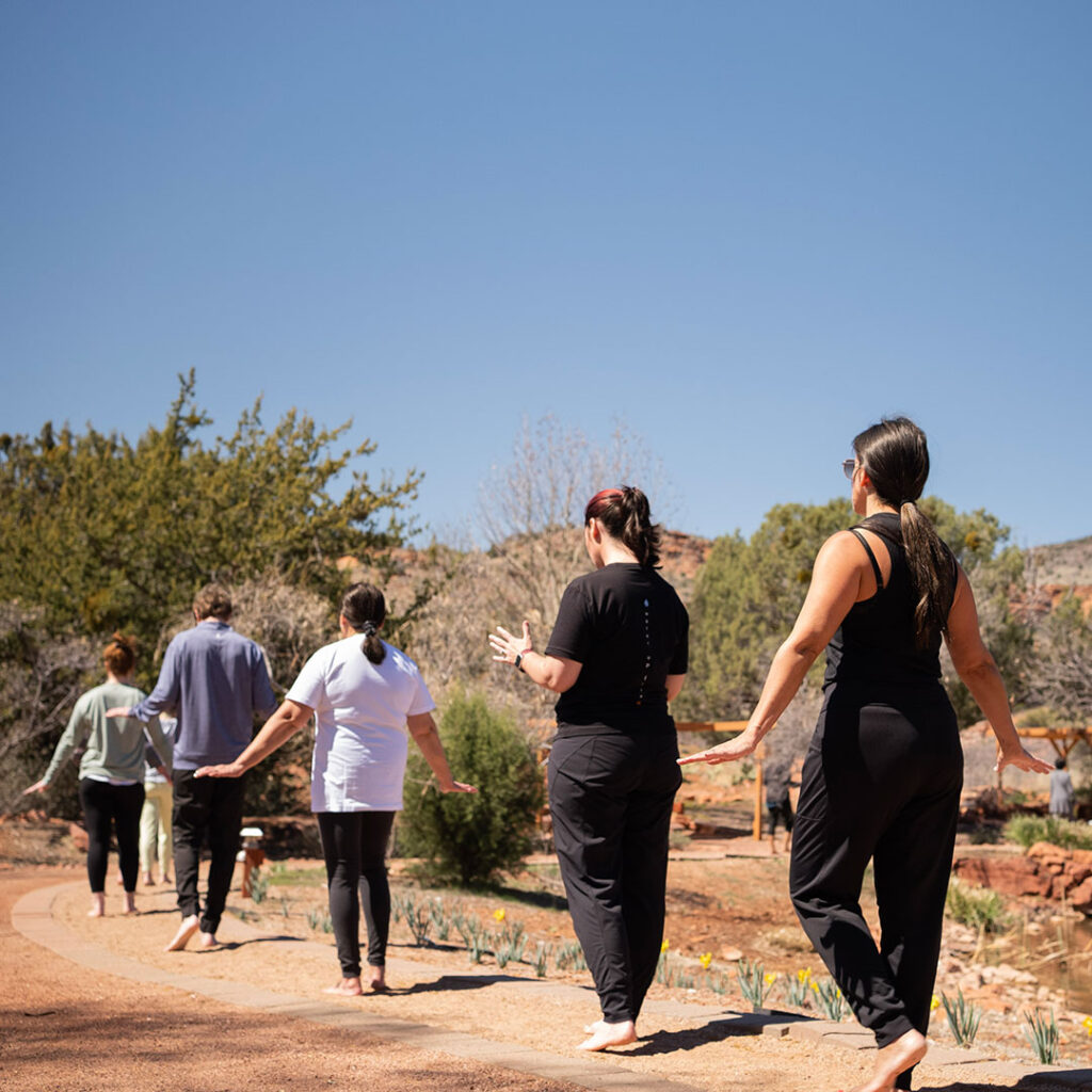 The programs featured image