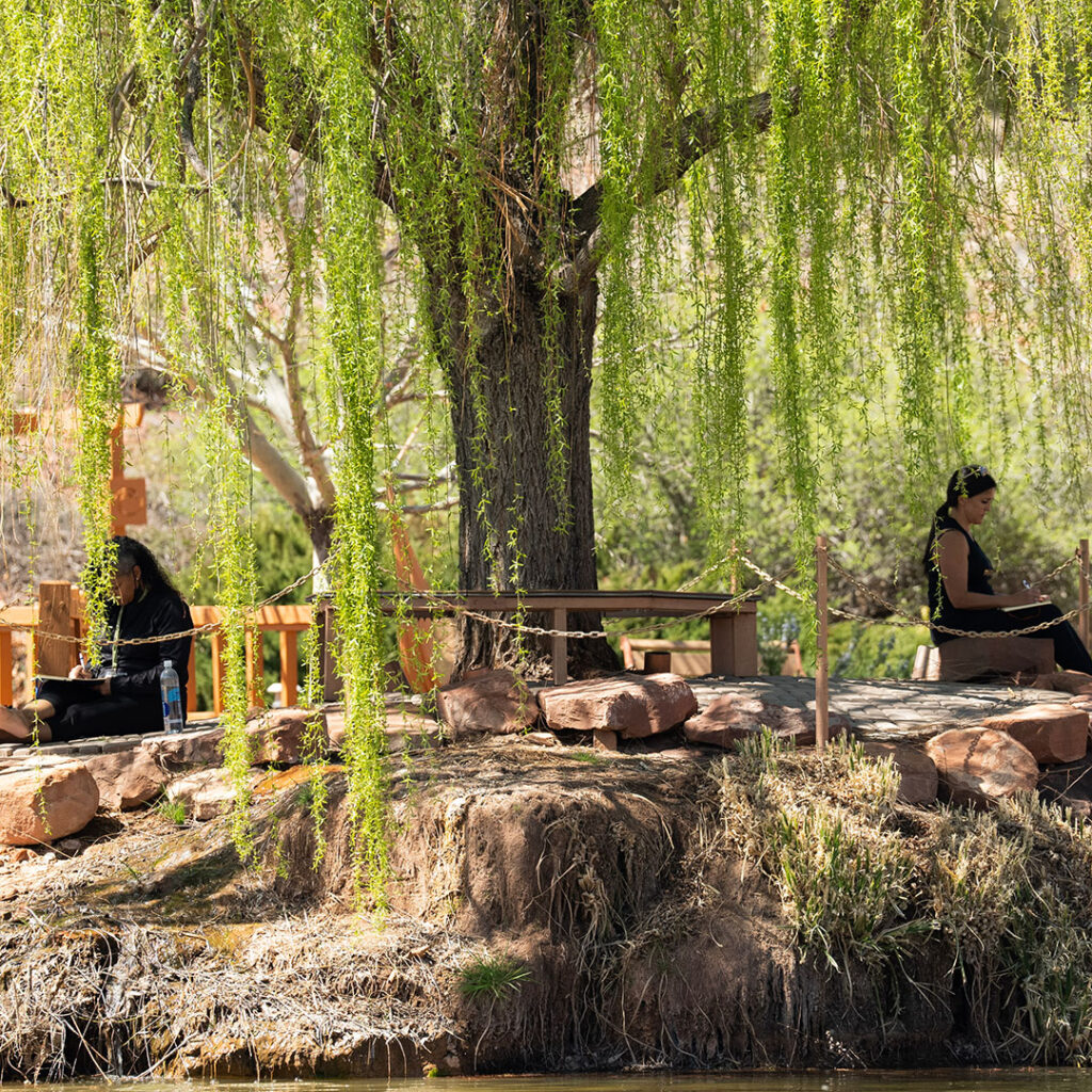 The programs featured image