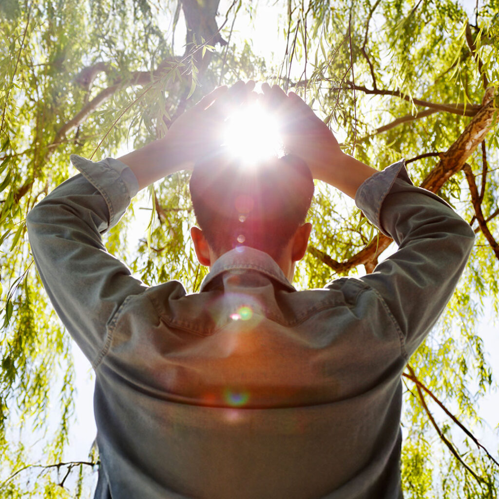 The programs featured image